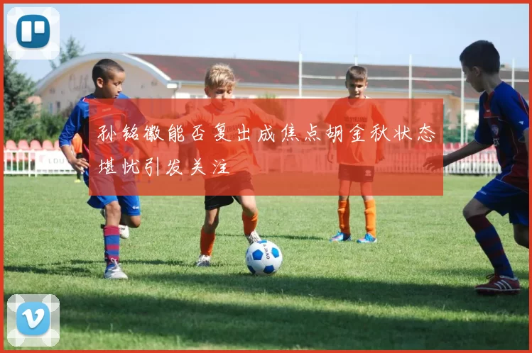 孙铭徽能否复出成焦点胡金秋状态堪忧引发关注